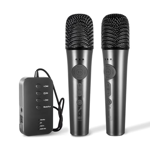 OTIC AI Karaoke Microphone, Multifunctional Portable Karaoke Machine - color: Metallic