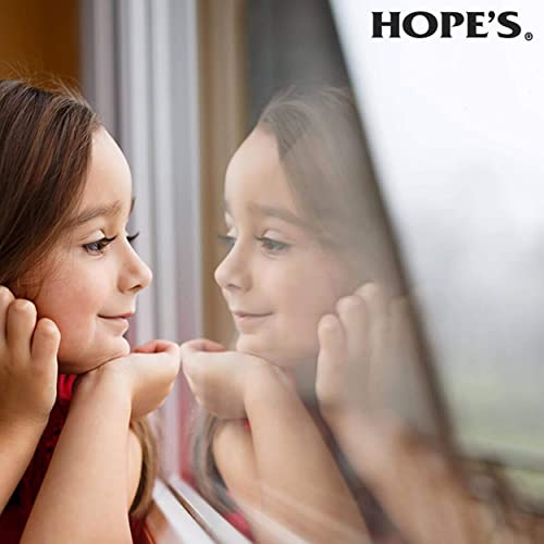 HOPE'S Perfect Glass Cleaner Spray, Streak-Free, Ammonia-Free Window, Mirror, Screen, Tinted Glass, and Shower Door Cleaner, Indoor and Outdoor Glass Surfaces, 32 Fl Oz, Pack of 2 - style: 32 Fl Oz (Pack of 2)