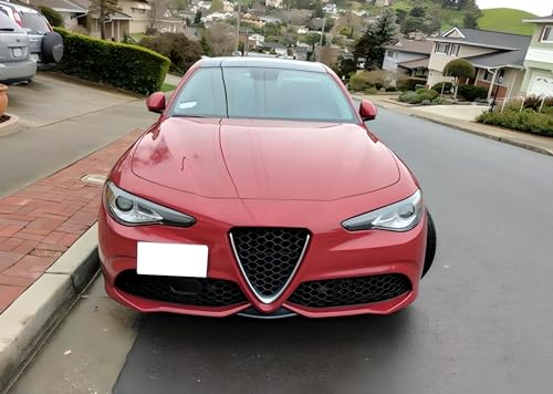 iJDMTOY Tow Hook License Plate Mounting Kit for Alfa Romeo Giulia