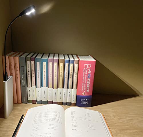 LED USB Reading Lamp Light with 2-Brightness Dimmable Setting, Flexible Gooseneck USB Light for Notebook Laptop Keyboard, Powerbank(On/Off Switch, 1 Black+1 Mini USB Light) - color: Black