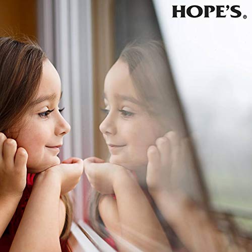 HOPE'S Perfect Glass Cleaner Spray, Streak-Free, Ammonia-Free Window, Mirror, Screen, and Shower Door Cleaner, Indoor and Outdoor Glass Surfaces, 32 Fl Oz, Pack of 1 With Microfiber Cloth - style: 32 Fl Oz (Pack of 1 With Microfiber Cloth)