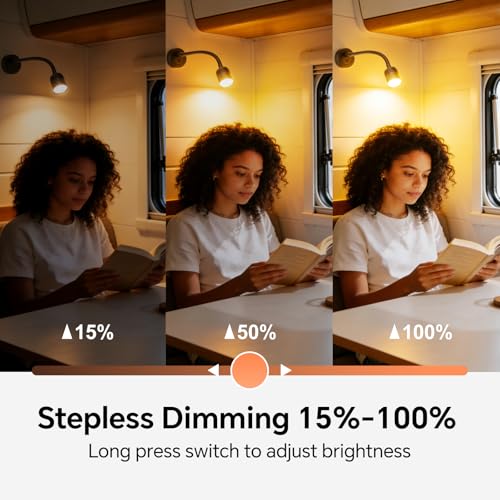 12V Dimmable Reading Light, RV LED Lamp with USB-A & USB-C Charger - color: Black