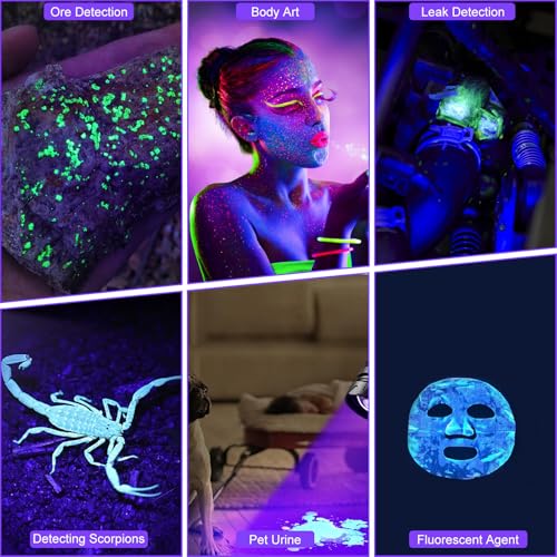 iodoo 4 in 1 Rechargeable 6500K / 395nm UV Flashlight Dimming Stepless
