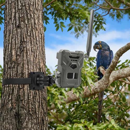 Trail Cameras Mount, Holder for Game Camera