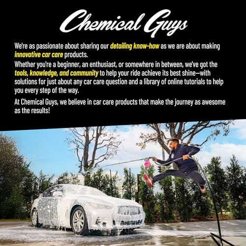 Chemical Guys, Boars Hair Detailing Brush for Wheels, Grilles & Interior - style: 1 Pack