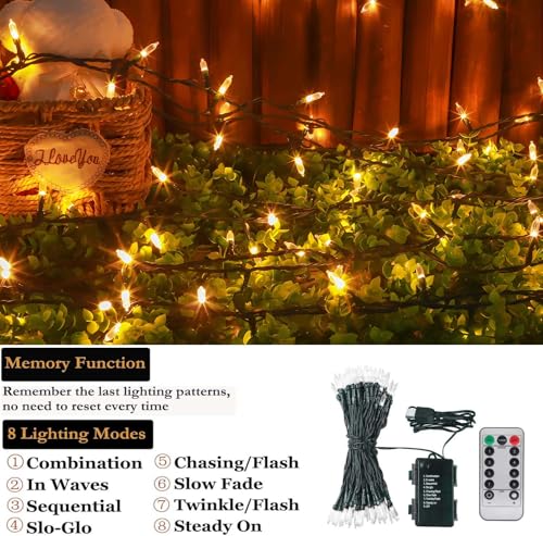 Tcamp 33ft 100LED Battery Operated Christmas Lights with Remote Timer - color: Warm White, size: 33ft 100LED
