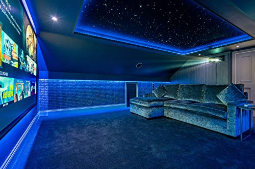 AZIMOM 2022Upgraded Bluetooth 20w Twinkle Fiber Optic Lights Star Ceiling Lighting Kits Mixed 860pcs*13.1ft Fiber Strands Dual Port RGBW Music Remote APP Control Light Source Home Car Ceiling Décor - size: Star+860pcs*(0.03+0.04+0.06)in*13.1ft