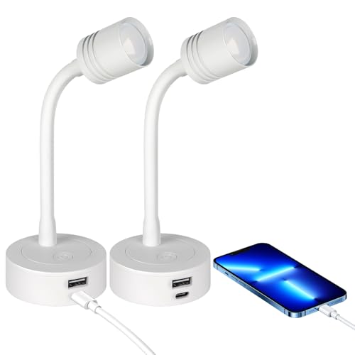 12V Dimmable Reading Light, RV LED Lamp with USB-A & USB-C Charger - color: White