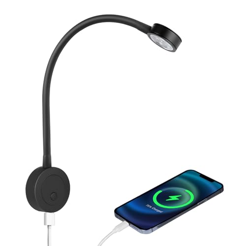 acegoo 12V LED Reading Light, RV Boat Bedside Reading Lamp, 12 Volt Flexible Neck Bed Light for Camper Van Trailer Truck Motorhome, Integral Switch & USB Charger - color: Black - USB
