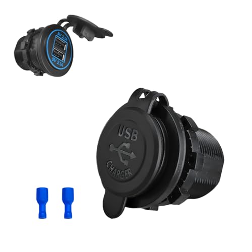 4.2A Dual USB Charger Socket, Waterproof Power Outlet 12V/24V 2.1A & 2.1A Quick Charge Socket, USB Charger Socket with Cap for Car Golf Cart Mobile RV ATV Truck Marine Boat (Blue) - color: Blue