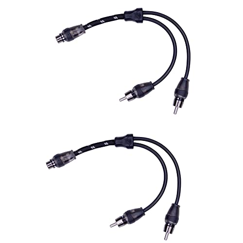 Rockford Fosgate RFITY-1F 2-Pack Premium Y Adapter Bundle