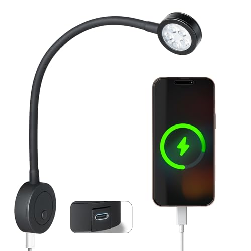 acegoo 12V LED Reading Light, RV Boat Bedside Reading Lamp, 12 Volt Flexible Bed Light for Camper Van Trailer Truck Motorhome, Integral Switch & 20W Type-C Quick Charger - color: Black - Type-C