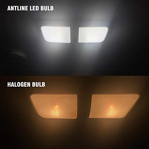 Antline 1156 1141 1003 7506 BA15S LED Bulbs Xenon White 20-Packs, Super Bright 3014 50-SMD LED Replacement for 12 Volt RV Camper Trailer Boat Trunk Interior Light Bulbs - color: Xenon White