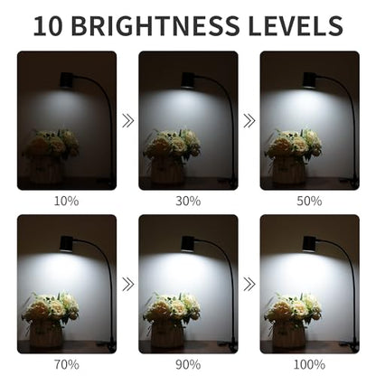 Desk Lamp USB Clip On Light,Book Lights for Reading at Night Clamp Light - color: Matte Black