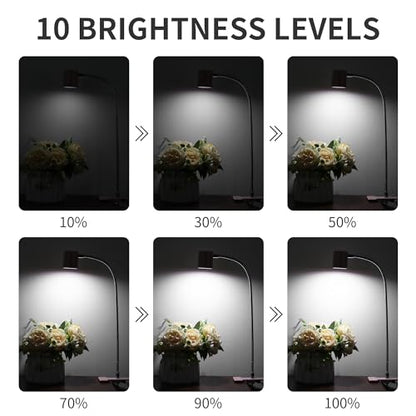 Dott Arts Desk Lamp,USB Clip On Light with 3 Color Modes,LED Reading Lamp - color: Pink