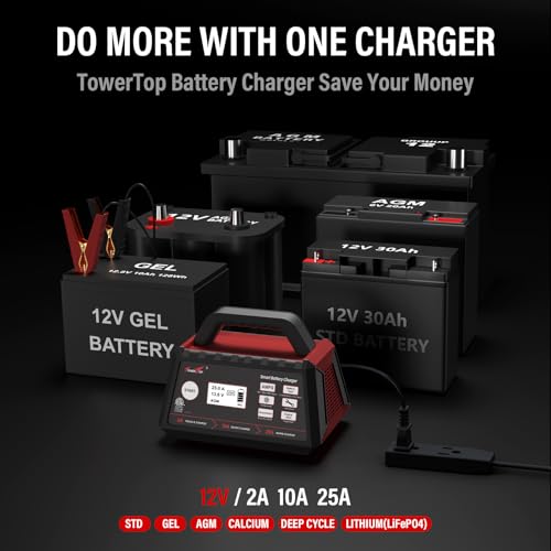 TowerTop 2/10/25 Amp 12V Smart Car Battery Charger, Fully Automatic Battery Maintainer with Engine Start, Auto Desulfator, Battery Repair, Winter Mode, for AGM, STD, Gel, Deep Cycle Batteries - color: 25A