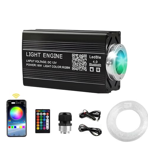 16W Twinkle Starlight Headliner Kit 1000 Piece, 6.5ft/2m 0.03in Car Interior Ceiling Fiber Optic Lights, APP/Remote Control Star Roof Lights for Car/Party Ambient Decor