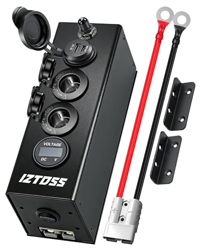 IZTOSS Cigarette Lighter Splitter, 12V Cigarette Lighter Adapter with Cigarette Lighter Socket & USB Charger, 12 Volt Socket Outlet, LED Voltage Display, Independent Switch, Built-in Fuse, Cord - color: Type 1