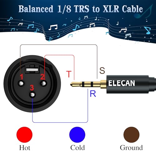 Elecan 3.5mm (1/8 Inch) TRS Aux Male to XLR Male Cable 10 Ft, Balanced Professional Shielded Stereo Microphone Cable Cord, Gold Plated for DSLR Camera Mixer Headphones with 3.5 to 6.35mm Adapter+Ties - size: 10FT, style: 3.5mm to XLR Male