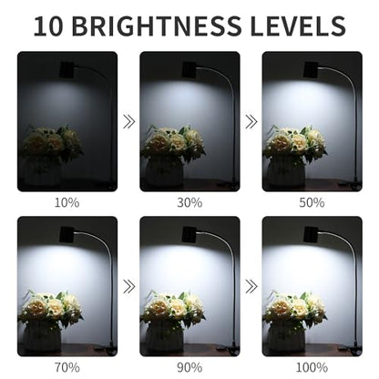 Dott Arts Desk Lamp,USB Clip On Light with 3 Color Modes,LED Reading Lamp - color: Brown