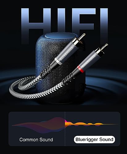 BlueRigger 3.5mm to RCA Audio Cable (10FT, RCA Male to Aux Audio, Braided, Headphone Jack Adapter, Metal Shell) - for Phones, Amplifiers, Tablets, Home Theater, Speakers, HDTV - size: 10FT, style: Regular