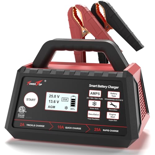 TowerTop 2/10/25 Amp 12V Smart Car Battery Charger, Fully Automatic Battery Maintainer with Engine Start, Auto Desulfator, Battery Repair, Winter Mode, for AGM, STD, Gel, Deep Cycle Batteries - color: 25A