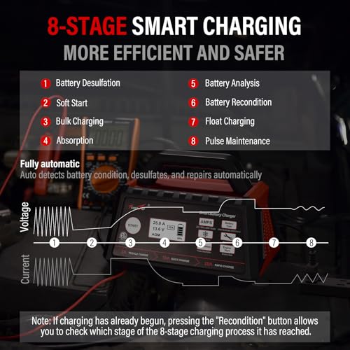 TowerTop 2/10/25 Amp 12V Smart Car Battery Charger, Fully Automatic Battery Maintainer with Engine Start, Auto Desulfator, Battery Repair, Winter Mode, for AGM, STD, Gel, Deep Cycle Batteries - color: 25A