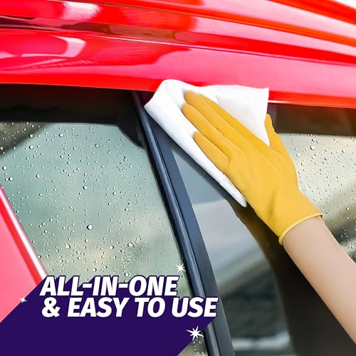 Windex Auto Wipes for Car Windows, Mirrors and Screens, Pre-Moistened Car Cleaner Wipes for Quick Streak-Free Shine, Guaranteed Safe-for Tinted Windows and Electronics, 25 count (Pack of 12) - size: 25 Count (Pack of 12)
