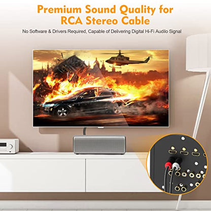 HOSONGIN RCA Cables 3.3ft 2 Pack[Hi-Fi Sound, Nylon Braided, Shielded], 2-Male to 2-Male RCA Audio Stereo Subwoofer Cable Auxiliary Cord for Home Theater, HDTV, Amplifiers, Hi-Fi Systems, Speakers - size: 3.3FT-2Pack