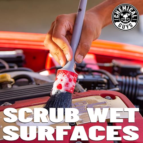 Chemical Guys All in the Details Exterior Detailing Brushes - 3-Piece Soft Scratch-Free Brushes for Wheels, Bumpers, Grilles, Badging & Tight Exterior Gaps on Cars, Trucks, SUVs & More - style: Exterior Brushes