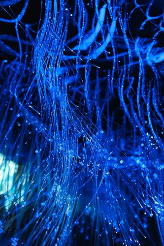 AZIMOM 50pcs*13.1ft PMMA Plastic Fiber Optic Strands End Glow 0.75mm/ 0.03in Optical Fiber Cable Roll for Star Sky Ceiling All Kind led Light Engine Source Driver - size: 50pcs*0.03in*13.1ft