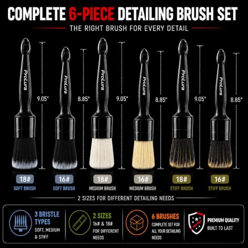 6PCS Car Detailing Brush Set - 2 Boar Hair Brushes, 2 Ultra Soft No-Scratch Brushes & 2 Medium Detail Brushes for Car Interior & Exterior Cleaning