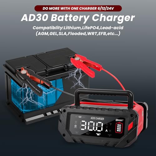 30 Amp 6V/12V/24V Smart Trickle Charger, Car Battery Charger, Lithium, Lifepo4, Lead Acid (AGM/Gel/SLA) Automatic Battery Maintainer, Battery Desulfator for Boat, Motorcycle, Lawn Mowers - size: 6V/12V/24V
