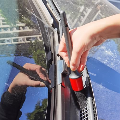 Car Detailing Brush Set of 5 - Boar Hair, Cleaning Brush, Wheel Cleaner Brush, Car Dust Brush, Car Interior Leather Seat and Vent Brush, Parts Cleaner Brush