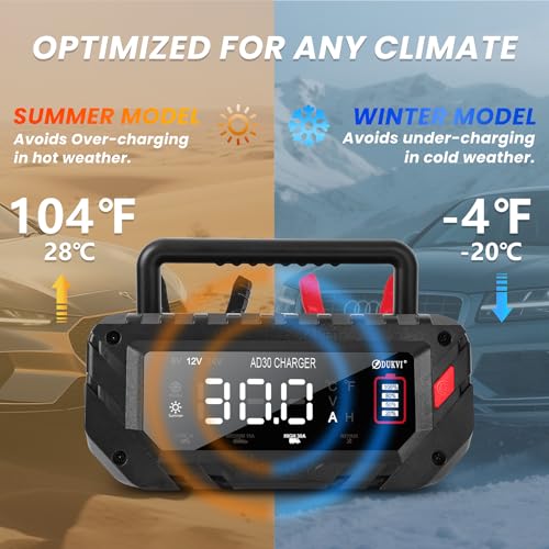 30 Amp 6V/12V/24V Smart Trickle Charger, Car Battery Charger, Lithium, Lifepo4, Lead Acid (AGM/Gel/SLA) Automatic Battery Maintainer, Battery Desulfator for Boat, Motorcycle, Lawn Mowers - size: 6V/12V/24V