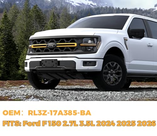 Front License Plate Frame for Ford F150 Accessories 2024-2026 - size: For F150 2024-2025