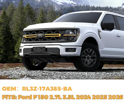 Front License Plate Frame for Ford F150 Accessories 2024-2026 - size: For F150 2024-2025