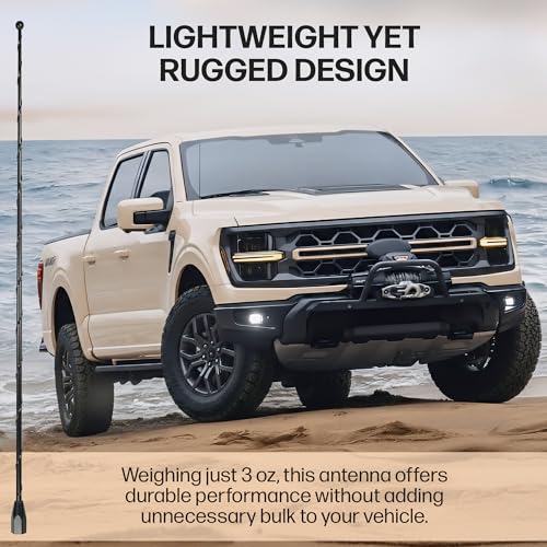 15 Inch Black Antenna for Ford F-150 F-250 F-350 Raptor (1950-2026) Bronco - color: Black